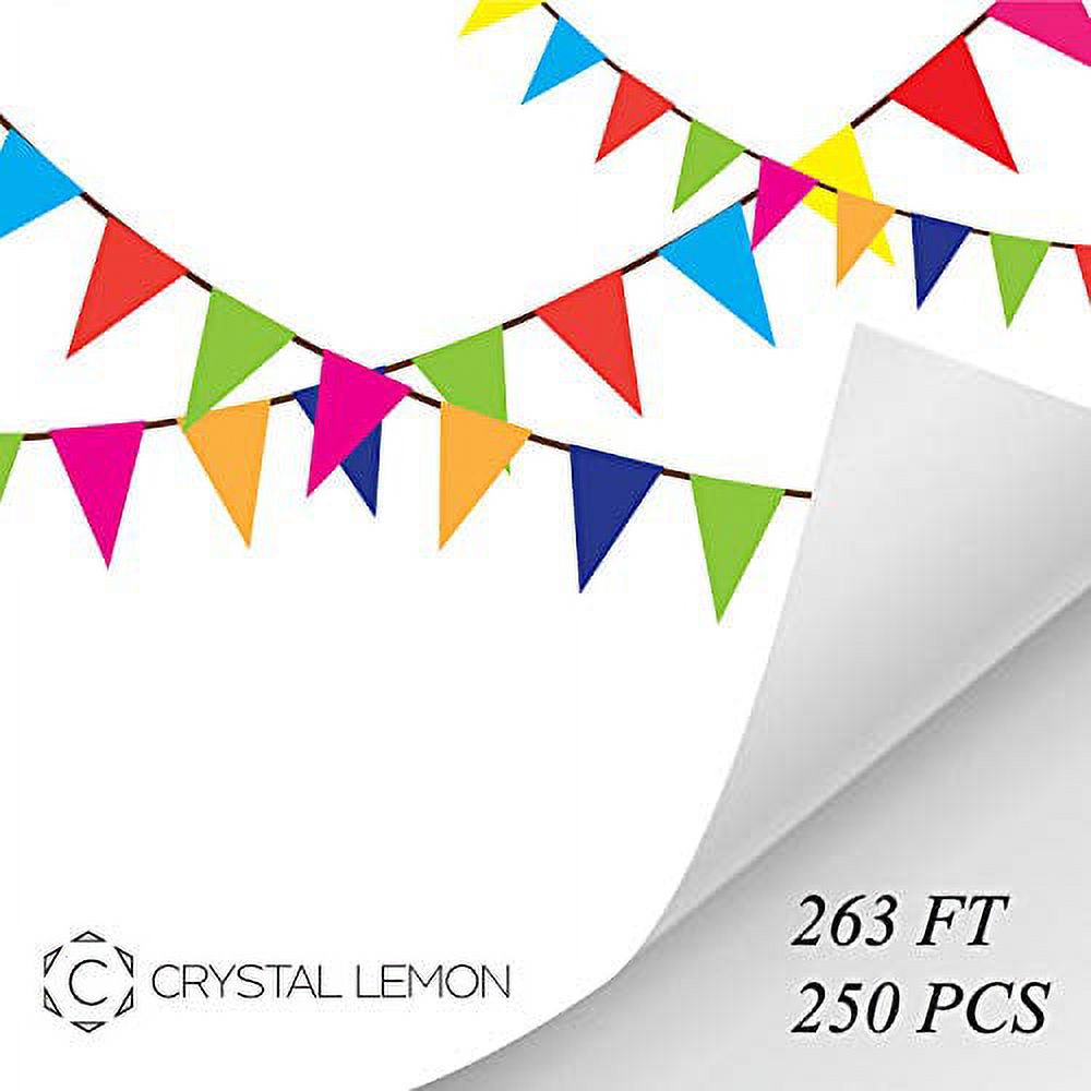 250pcs 263FT, Multicolor Pennant Flags, Nylon Fabric Decorations Grand Opening Banner Rope by Crystal Lemon